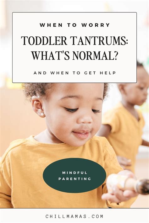 When To Worry About Toddler Tantrums 5 Signs To Look Out For Artofit