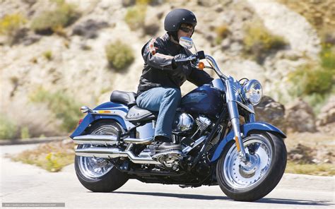 Hd products are never cheaper, but those who own a harley abroad needn't think that the fatboy is a tough metal ride for personalities like arnold. 2009 Harley-Davidson FLSTF Fat Boy: pics, specs and ...