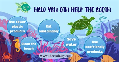 Six Ocean Friendly Habits To Help Protect Marine Life The Eco Fairy