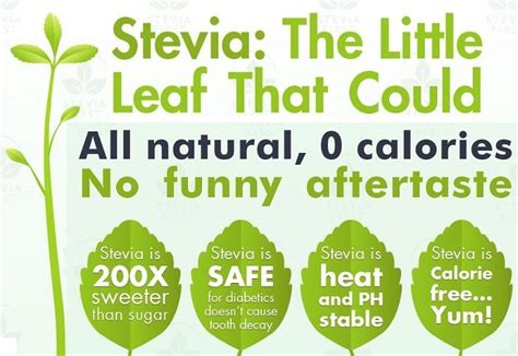 Stevia Is The Best Alternative To The Refined Sugar Fitneass