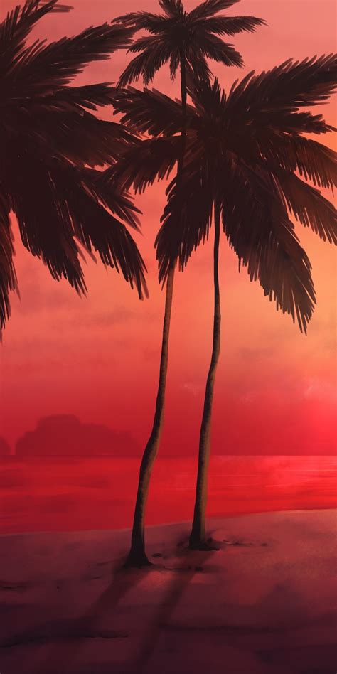 Download Sunset Tropical Beach Relaxed Adorable Palm Trees
