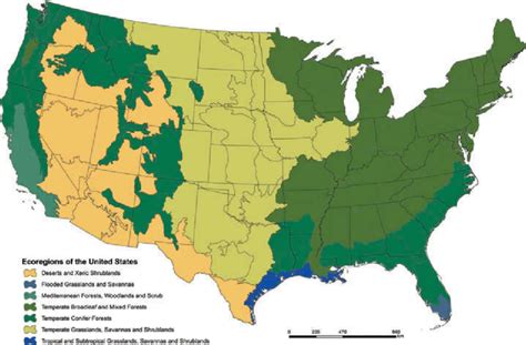 I technically live in a food desert, only because it is very rural and a lot of people literally live over 10 miles from anything. Major ecoregions of the contiguous United States include ...