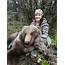 Alaska Hunting Outfitters  Moose Hunts Grizzly Bear Trophy