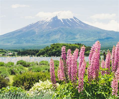 20 Most Beautiful Places In Japan Japan Wonder Travel Blog
