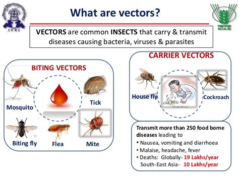 Vector Borne Diseases And Ivm