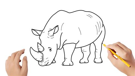 Cómo Dibujar Un Rinoceronte Dibujos Sencillos Youtube