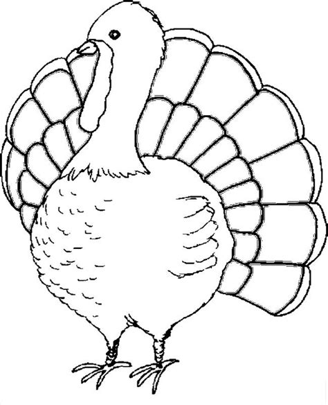 Printable Turkey Coloring Pages Frequently Asked Questions Worksheets Decoomo