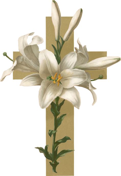 Clip Art Easter Lily Borders And Frames Png 1497x1501px Easter