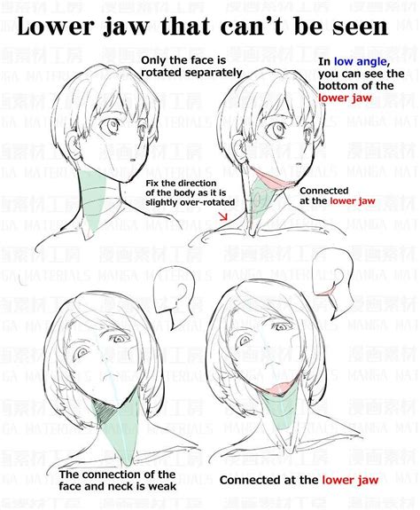 Drawing Heads Drawing Poses Drawing Tips Neck Drawing Figure