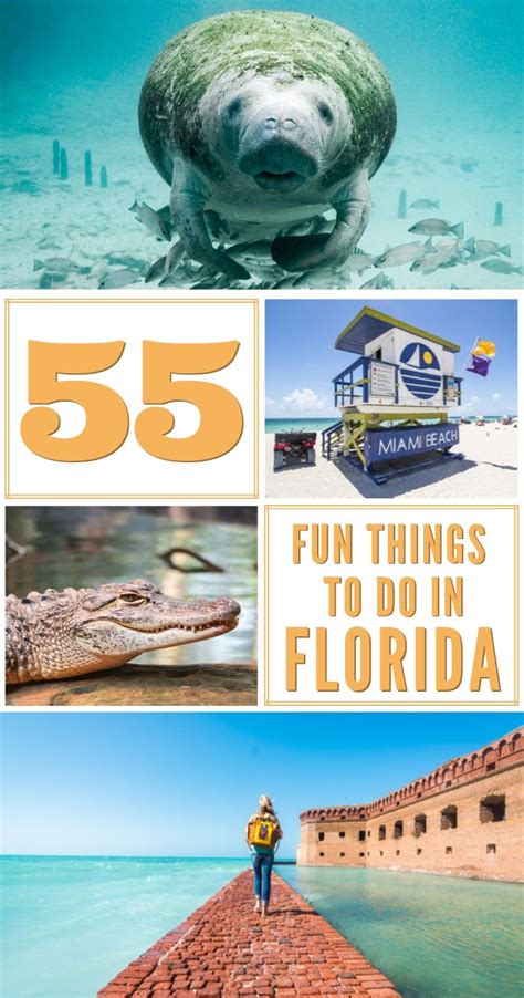 Florida Best Places To Go Artofit