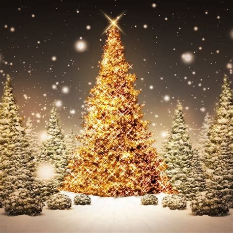 Free Download Christmas Tree Wallpapers For 2560x1600 For Your