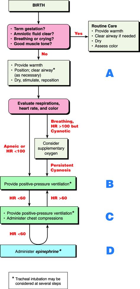 Part 13 Neonatal Resuscitation Guidelines Circulation