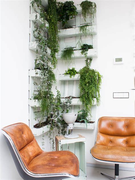 Indoor Hanging Plants Home Design Ideas Pictures Remodel