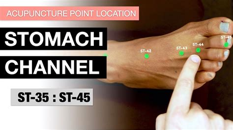 Acupuncture Point Location The Stomach Channel 35 45 Stomach Meridian