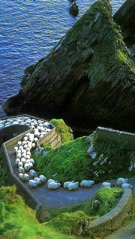 Dunquin Pier Dingle Peninsula Kerry Blasket Islands