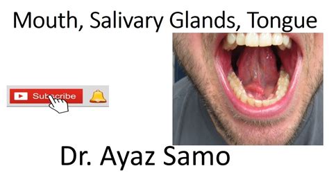 Mouth Salivary Glands Tongue Youtube