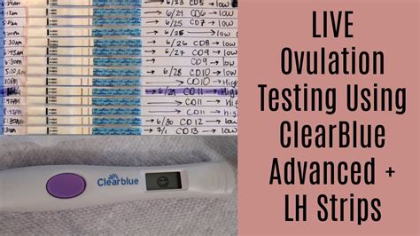 Live Ovulation Test Progression Using Clearblue Advanced Digital Ovulation Test And Lh Strips