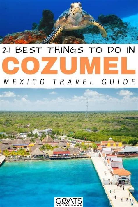 21 Things To Do In Cozumel Mexicos Top Island Goats On The Road