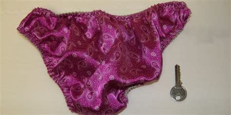 Plymouth Police Seek Owner Of Stolen Knickers Picture