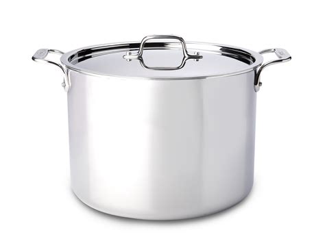 12 Qt Stainless Steel Stock Pot Indigo Select