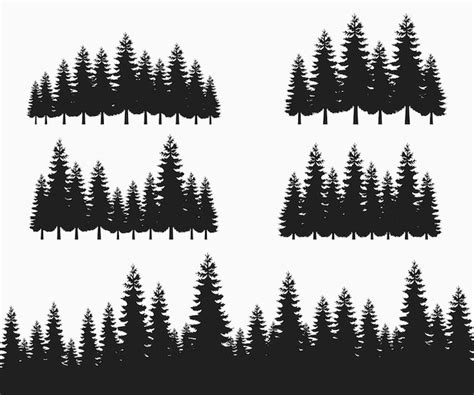 Premium Vector Forest Fir Trees Silhouettes Pine Tree Silhouette Coniferous Spruce