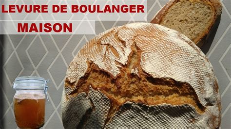 Levure De Boulanger Maison Le Tuto Complet YouTube