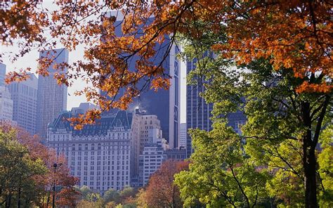 720p Free Download New York Central Park Autumn Hd Wallpaper Peakpx