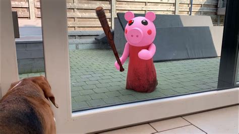 Crazy Peppa Pig Animation In Real Life Youtube