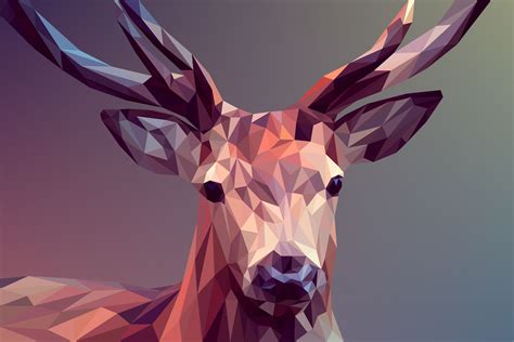 Deer Polygon Art 8k Hd Artist 4k Wallpapers Images Backgrounds
