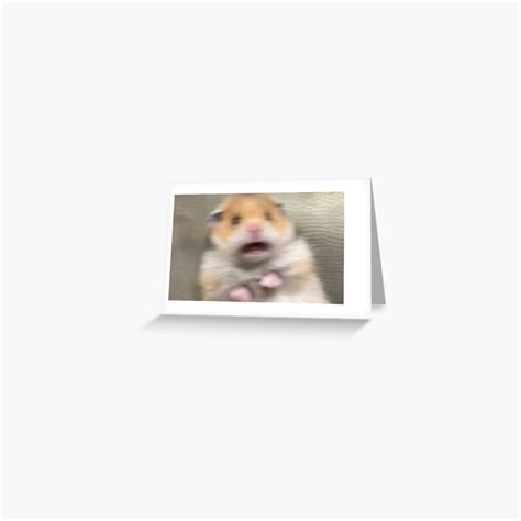 Shook Hamster Meme Greeting Card For Sale By Savagewav Redbubble