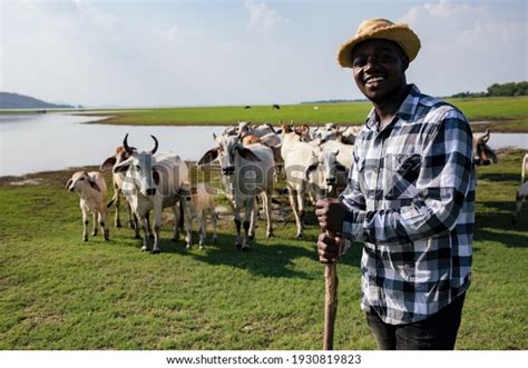 1958 African Shepherd Images Stock Photos And Vectors Shutterstock