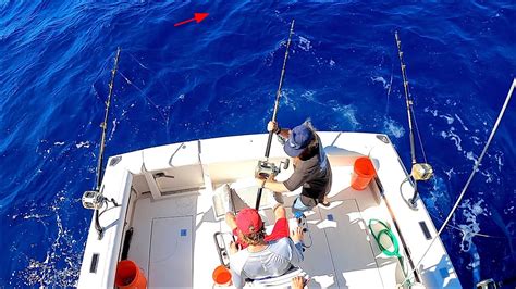 Multi Species Deep Sea Fishing In Hawaii Saltwater Fishing Hawaii
