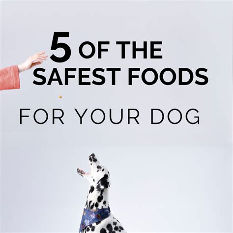Your vet will listen for a heart murmur or abnormal heart. Dilated Cardiomyopathy: 5 Safe Dog Foods That Have Never ...