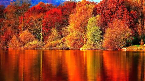 Autumn Forest Desktop Wallpapers Top Free Autumn Forest Desktop