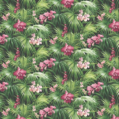 Tropical By Galerie Pink Green Black Wallpaper Wallpaper Direct