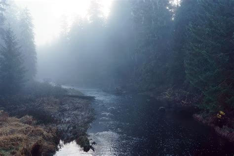 A foggy river in the rainforest of Alaska. [6000x4000][OC] | Water, Sea