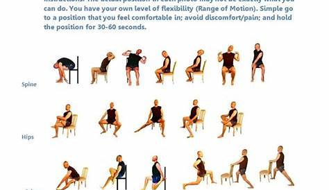Exercises For Seniors: Chair Exercises For Seniors Pdf