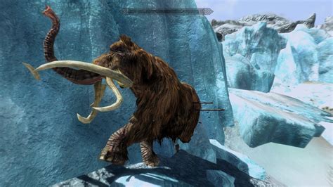 Frozen Wooly Mammoth Youtube
