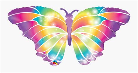 Rainbow Butterfly Cartoon