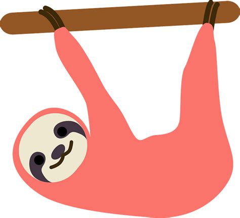 Sloth Hanging From A Branch Clipart Free Download Transparent Png