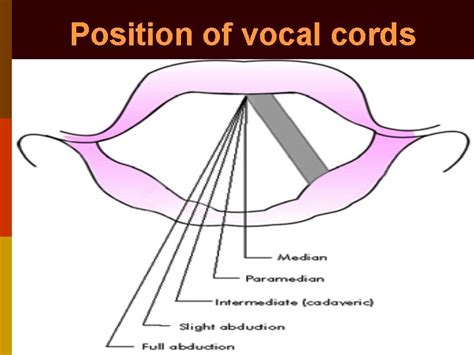 Vocal Cord Palsy Evaluation Of Hoarseness Dr Vishal