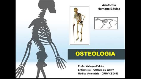 1ª Aula Anatomia Osteologia Youtube