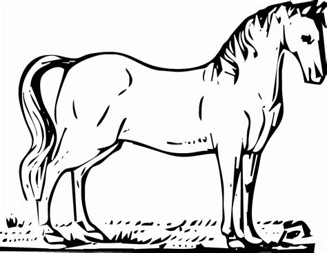 Contoh Gambar Kuda Pulp