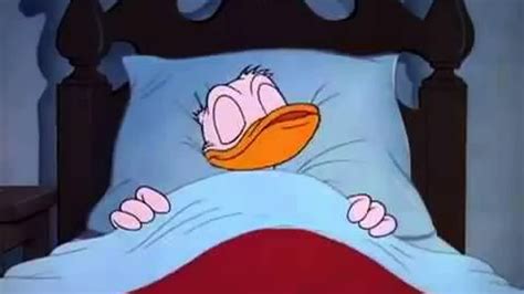 Donald Duck Snoring Youtube