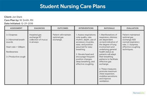 Blank Nursing Care Plan Template