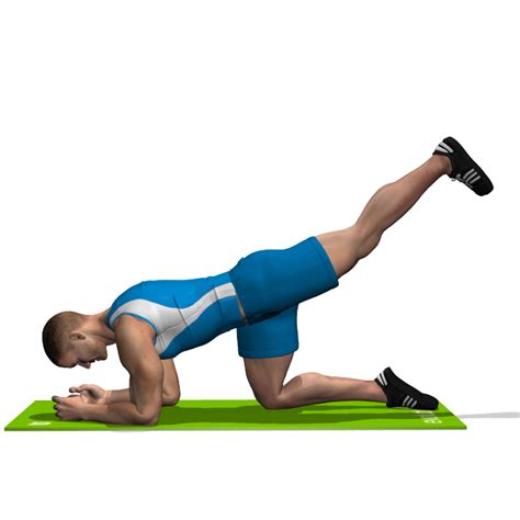 Perfect Exercise For Glutes Glute Kickback Male Youtu
