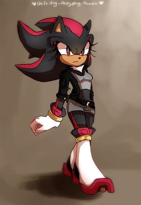 Sonic And Shadow Shadow The Hedgehog Sonic Fan Characters