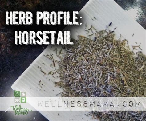 Tea tree hair growth essence. How to Use Horsetail Herb for Improved Health | Sore ...