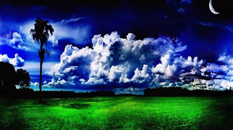 Download Wallpaper 1920x1080 Trees Meadow Grass Greens Clouds Moon