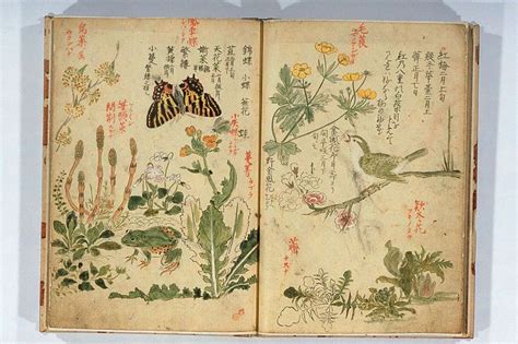 Pin on Арт дневники | Book art, Sketch book, Art journal inspiration
